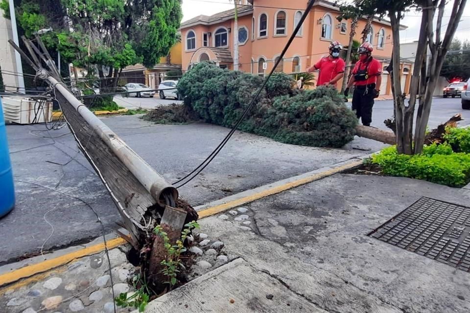 Cae Poste Y Derriba Rbol