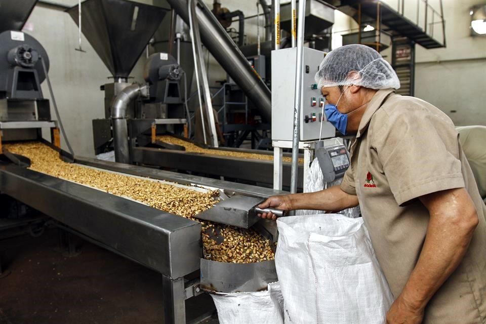 Descubrir 97+ imagen empleos en fabricas de chocolates Viaterra.mx