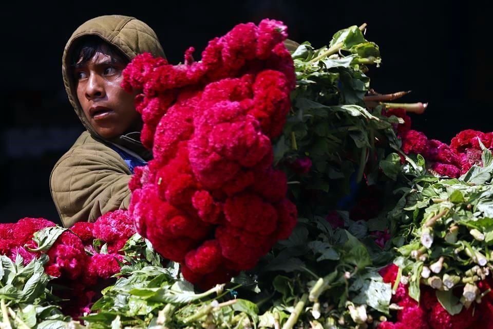 Viajan flores hasta La Paz