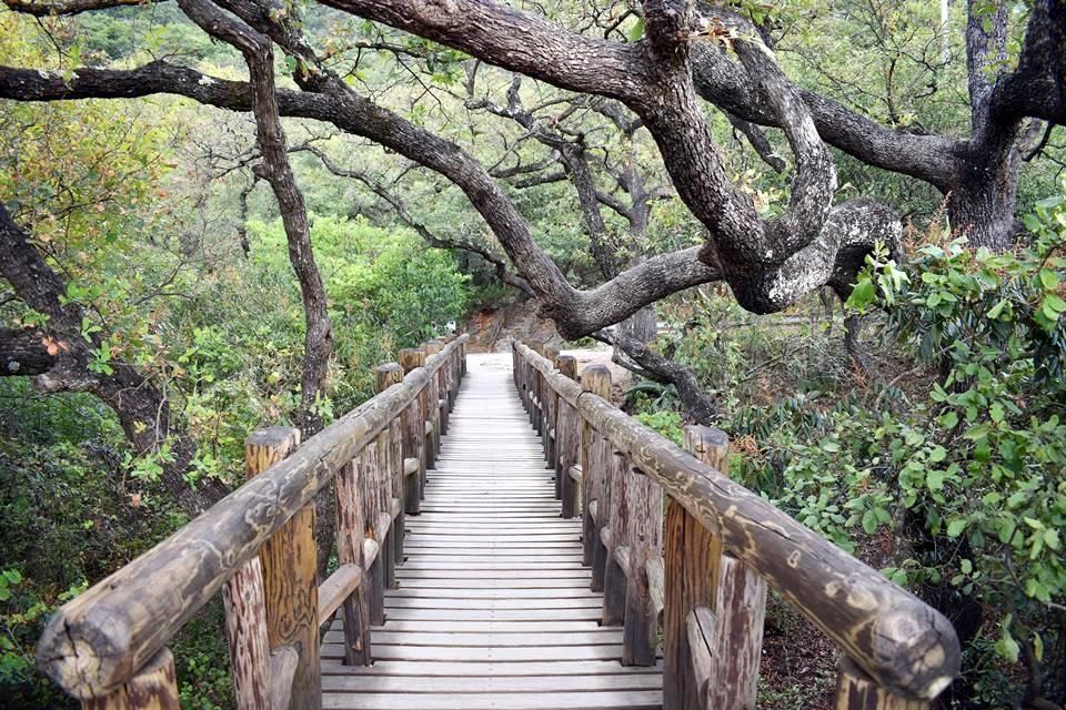 Disfruta 'el puente' en un parque natural