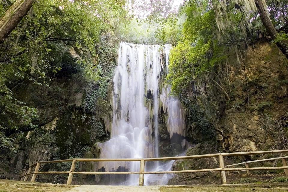 Disfruta 'el puente' en un parque natural