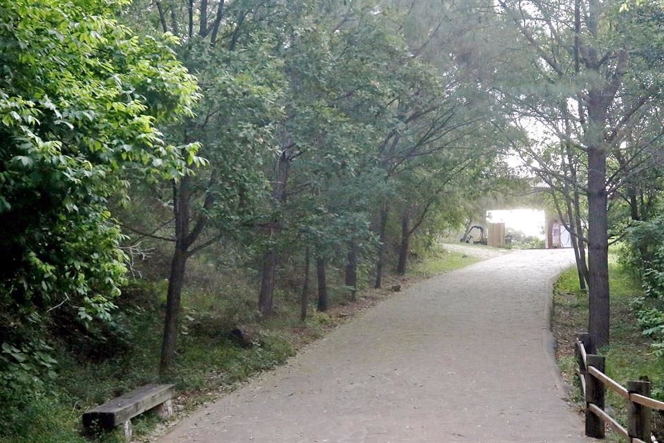 Disfruta 'el puente' en un parque natural