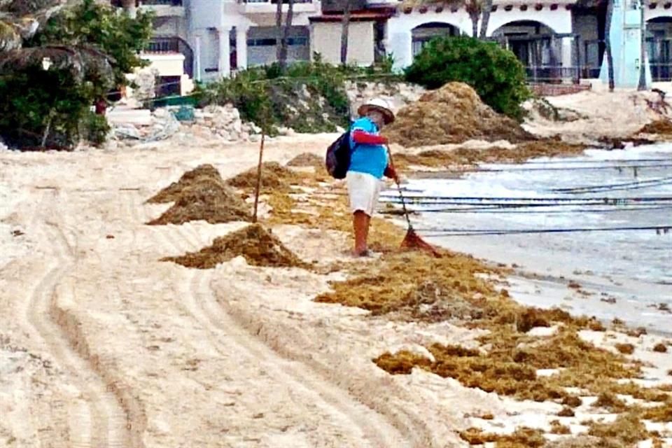 La buena: reabrirán Cancún; la mala: ya llegó el sargazo