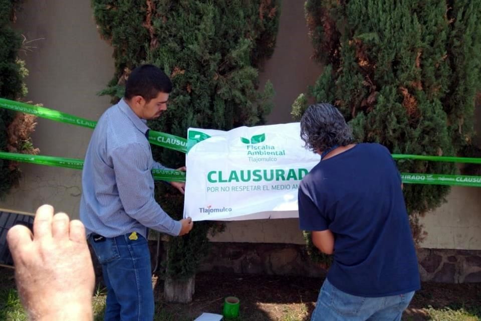 Abusan de permiso y talan árboles en Del Pilar