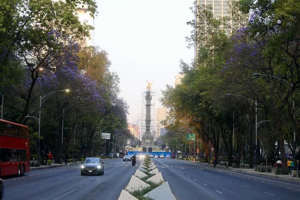 Paseo De La Reforma