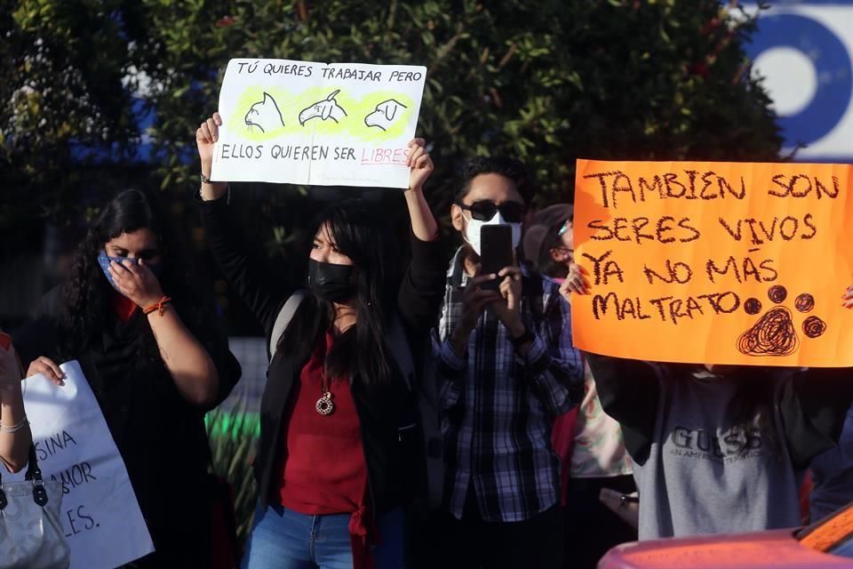 Retoman en Mercado de Sonora comercio de fauna