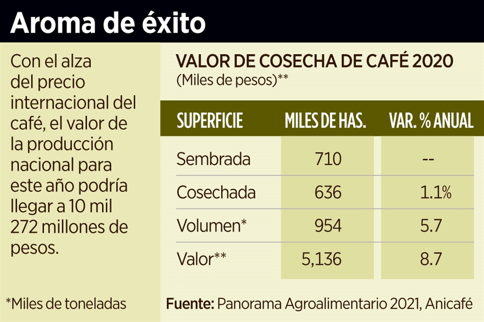 Prevén se duplique el valor de producción del café