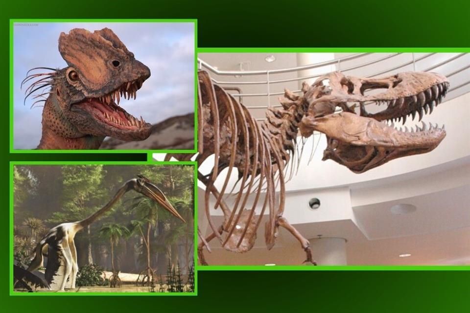 5 datos sobre los dinosaurios de Jurassic World