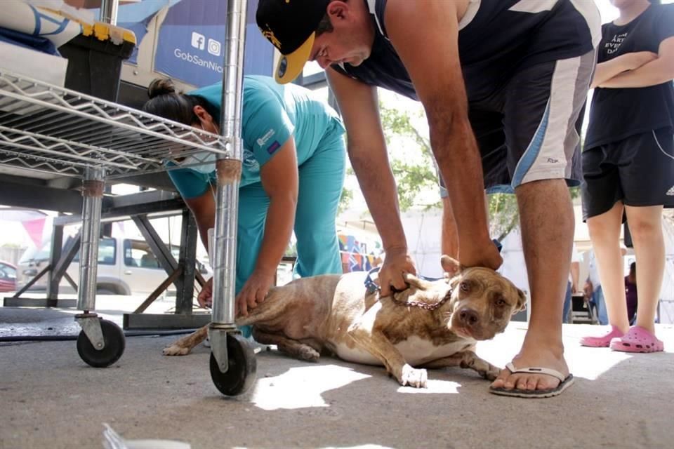 Reinaugura San Nicolás Centro de Control Canino y Felino Reinaugura San Nicolás Centro de Control Canino y Felino