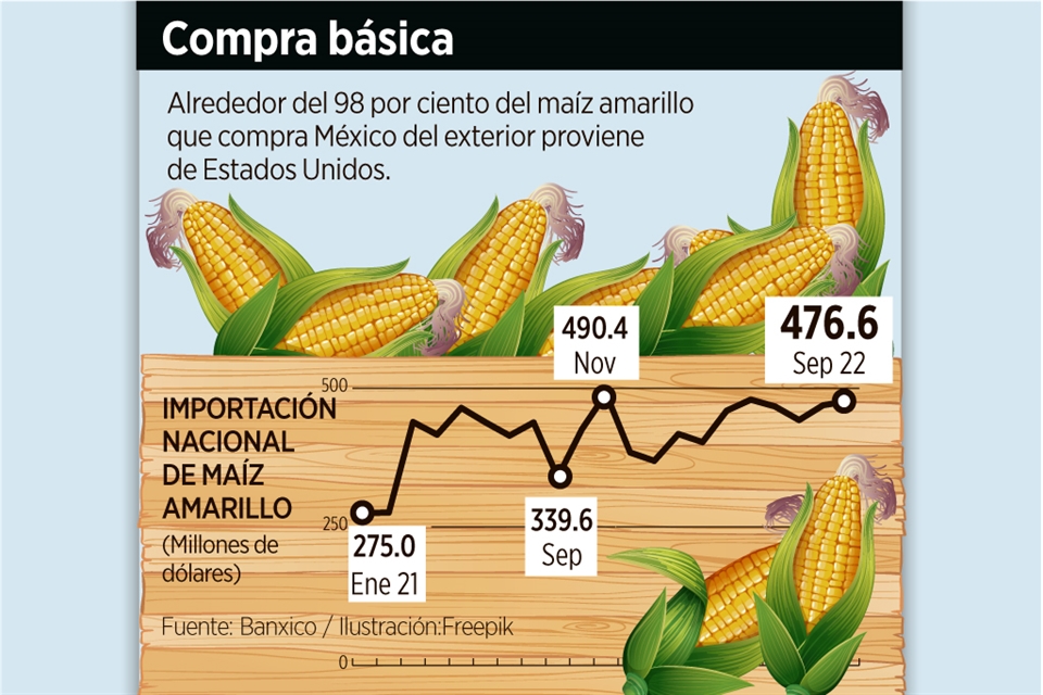 Inician México-EU consultas informales por maíz transgénico