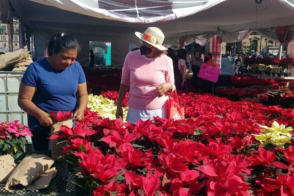 Productores reclaman más espacios para venta de flores