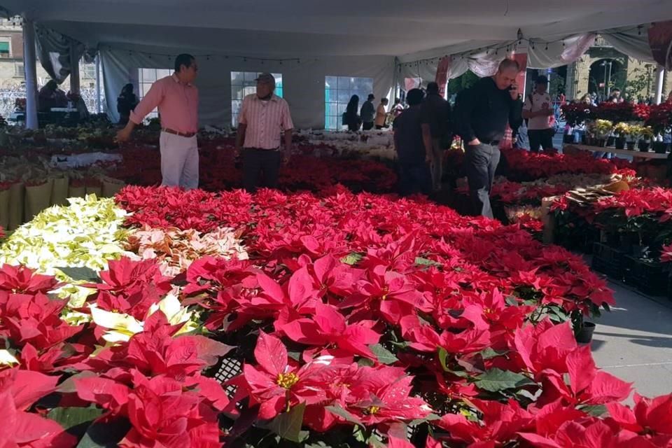 Productores reclaman más espacios para venta de flores