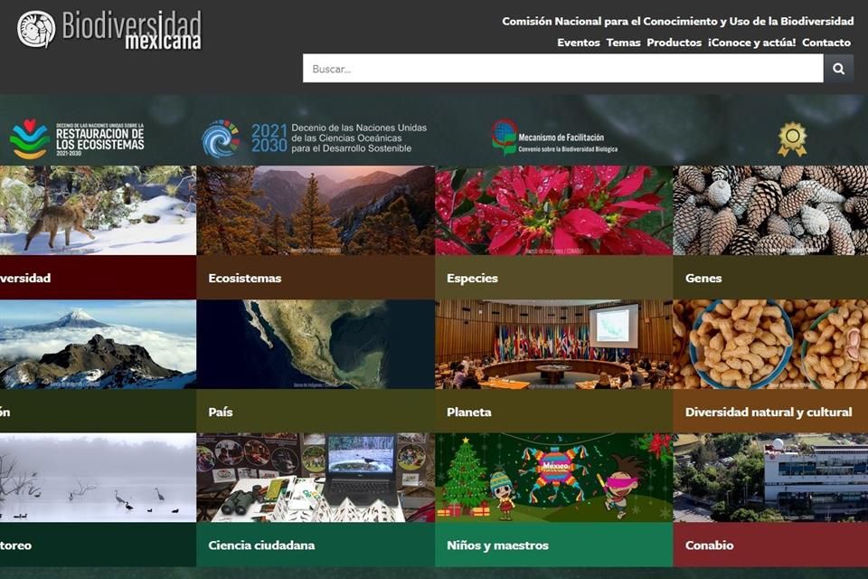 Aprende sobre la biodiversidad de México en este sitio web