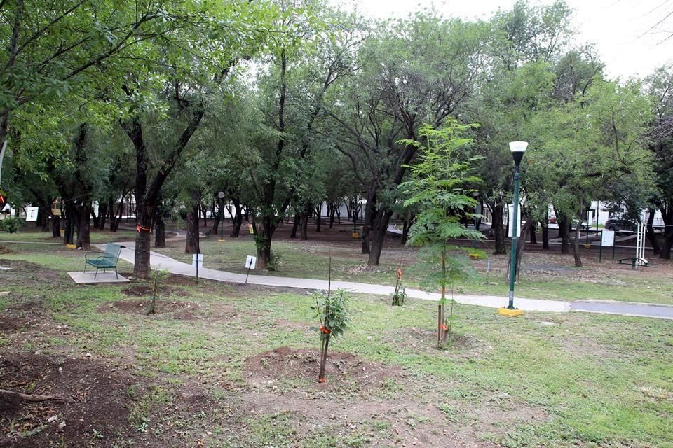 Plantan árboles en Gran Parque