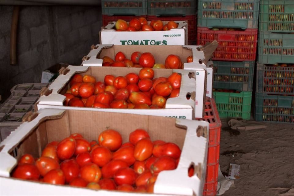 Alertan 'golpe brutal' a productores con arancel al tomate