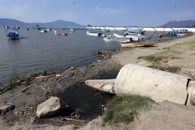 Resultado de imagen de lago chapala contaminacion