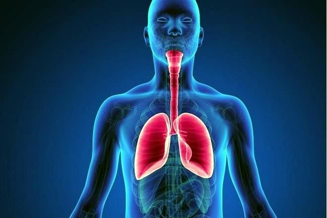 ¿Qué es la hipertensión pulmonar tromboembólica? ¿Qué es la hipertensión pulmonar tromboembólica?